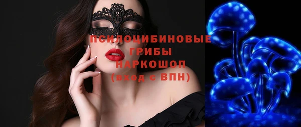 мяу мяу мука Абаза