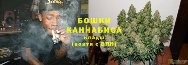 PSILOCYBIN Ростов