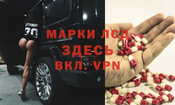 мяу мяу мука Абаза
