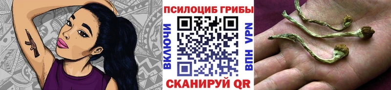 Псилоцибиновые грибы MAGIC MUSHROOMS  гидра зеркало  Дивногорск 