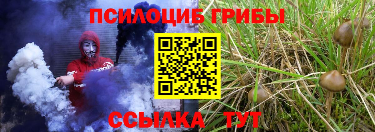 Дивногорск  Псилоцибиновые грибы Psilocybe  Галлюциногенные грибы Psilocybine cubensis  Вход с VPN 