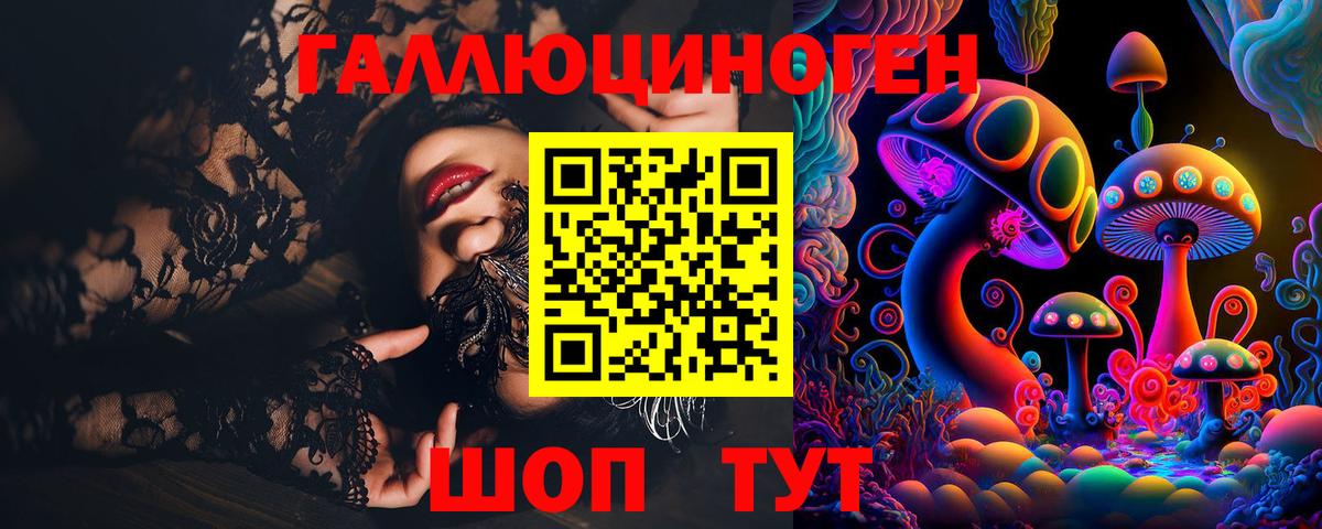 Галлюциногенные грибы Psilocybine cubensis Дивногорск